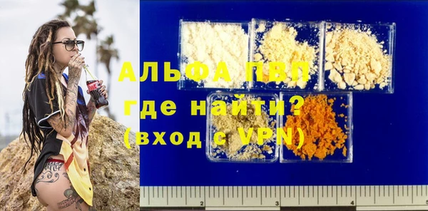 хмурый Пересвет