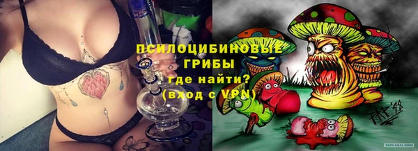 гидропоника Алексеевка