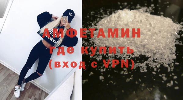 хмурый Пересвет