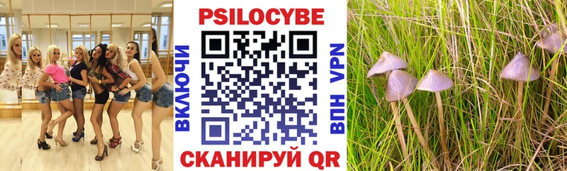 Псилоцибиновые грибы GOLDEN TEACHER  hydra сайт  Талица 